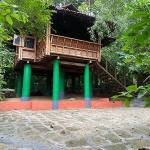 Trekking Trails Eco Stay